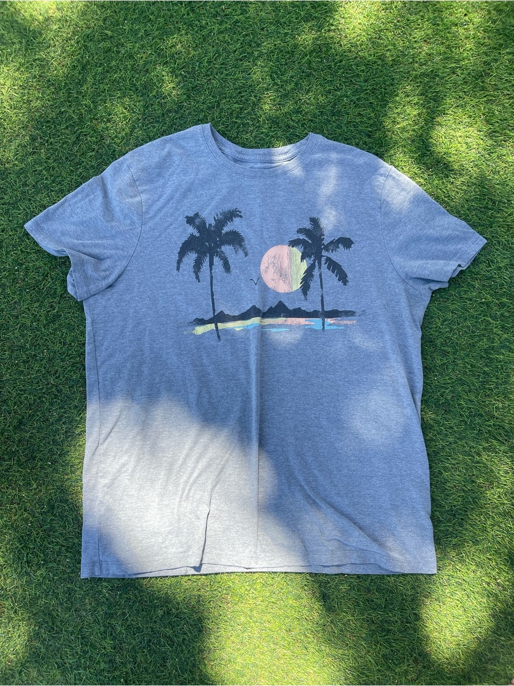 Goodfellow & Co Grey Palm Sunset Graphic Tee